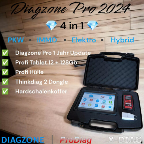 Diagzone Pro 2025